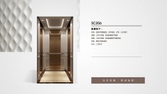 臨沂別墅梯